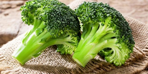 Kupus brokule: koristi i štete, ljekovita svojstva, sastav